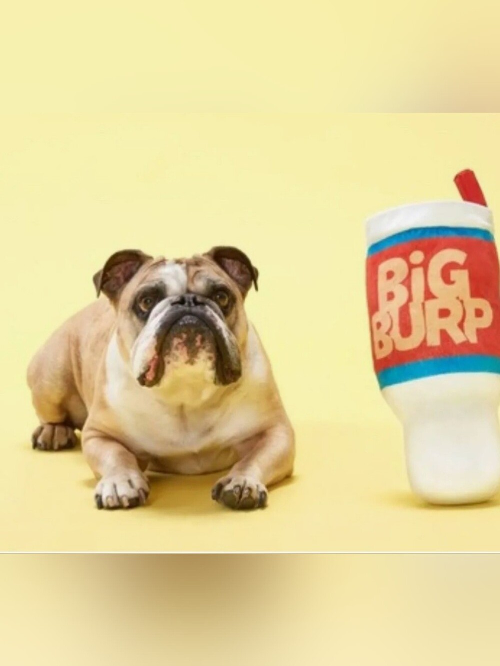 Big Burp SLURP Dog Toy Plush #DGT14 - Picture 5 of 6